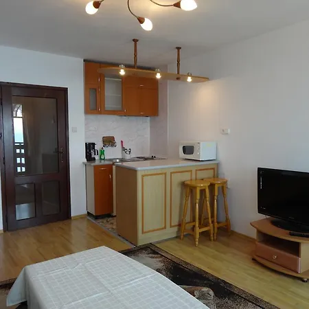 公寓 Anita 内塞伯尔